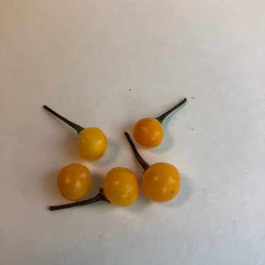 Aji Charapita - Seeds - The Pepper Pantry (Formerly Marie Sharp's)